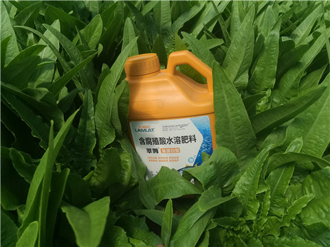 沖施肥，拉姆拉，翠姆