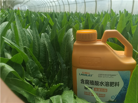 沖施肥，拉姆拉，翠姆