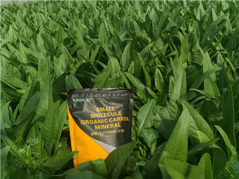 礦源黃腐酸鉀，拉姆拉，翠姆