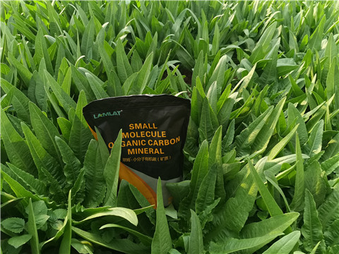 礦源黃腐酸鉀，拉姆拉，翠姆