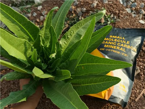 礦源黃腐酸鉀，拉姆拉，翠姆