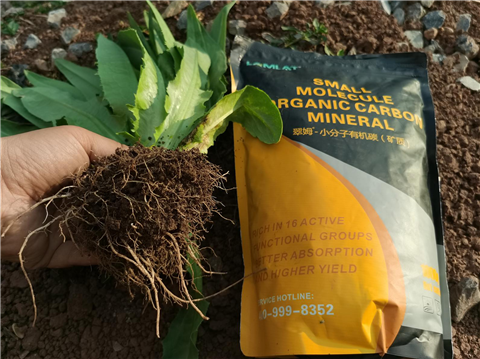 礦源黃腐酸鉀，拉姆拉，翠姆