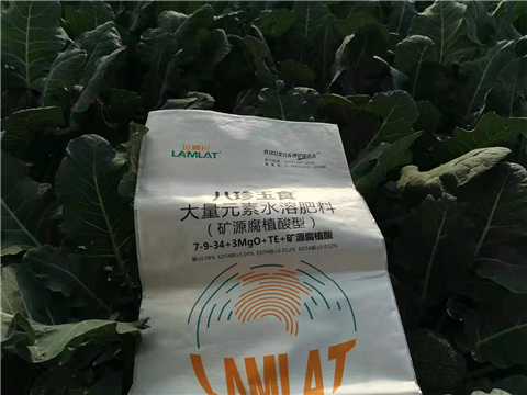 大量元素水溶肥，拉姆拉，翠姆