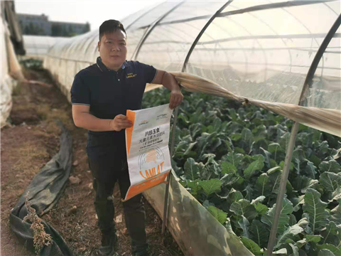 大量元素水溶肥，拉姆拉，翠姆