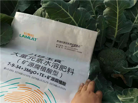 大量元素水溶肥，拉姆拉，翠姆