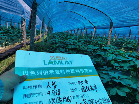 水溶肥，拉姆拉，翠姆