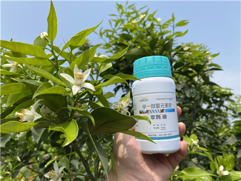 硼肥，拉姆拉，翠姆