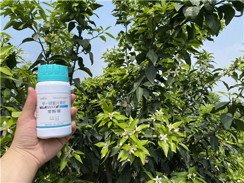 硼肥，拉姆拉，翠姆