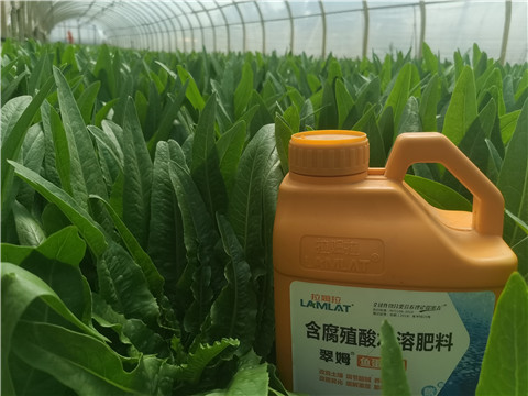 水溶肥，翠姆，拉姆拉