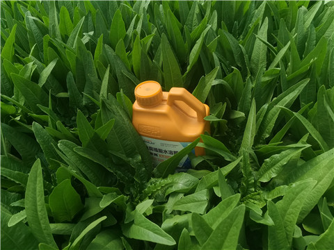 水溶肥，翠姆，拉姆拉