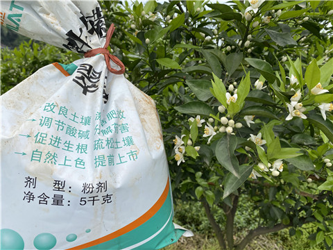 水溶肥，翠姆，拉姆拉