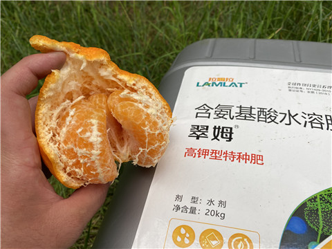 水溶肥，翠姆，拉姆拉