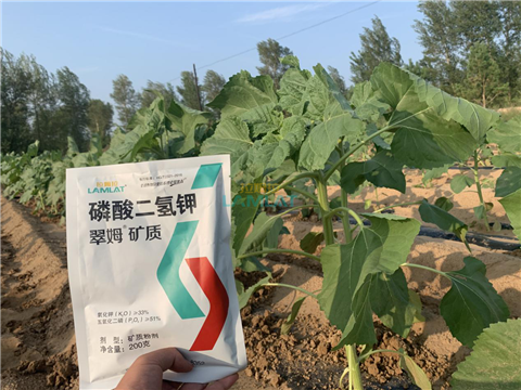 水溶肥，翠姆，拉姆拉