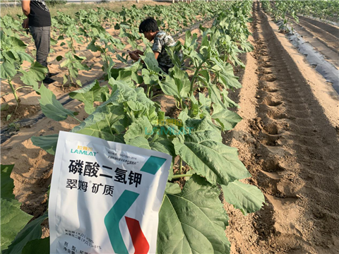 水溶肥，翠姆，拉姆拉