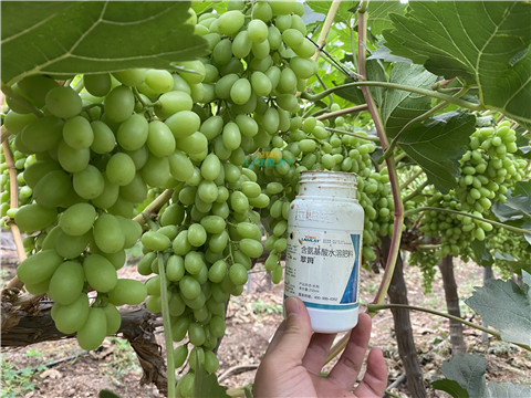 水溶肥，翠姆，拉姆拉