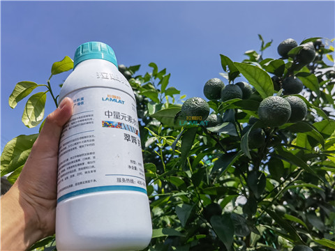 水溶肥，翠姆，拉姆拉