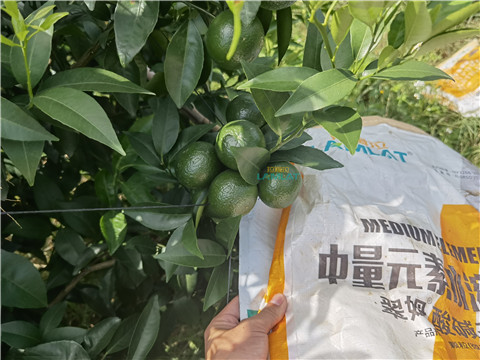 水溶肥，翠姆，拉姆拉