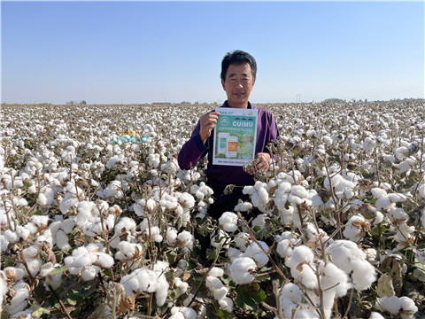 水溶肥，翠姆，拉姆拉