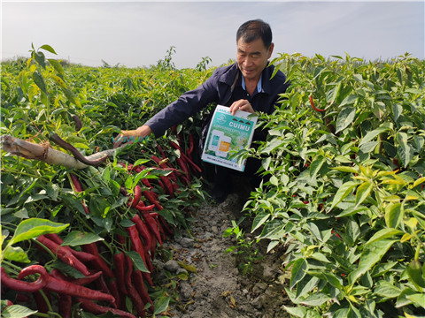 水溶肥，翠姆，拉姆拉