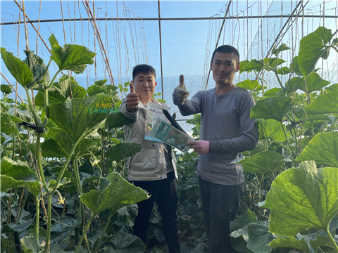 水溶肥，翠姆，拉姆拉