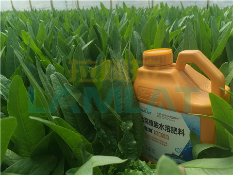 水溶肥，翠姆，拉姆拉
