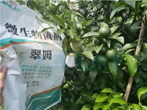 微生物菌劑，翠姆，拉姆拉