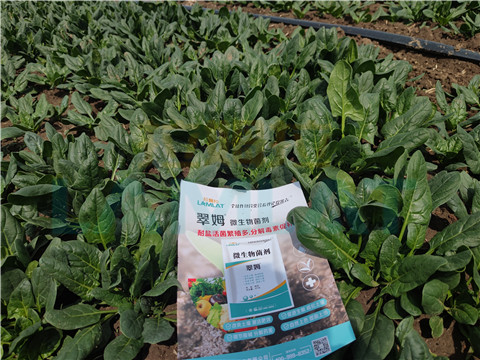 水溶肥，翠姆，拉姆拉