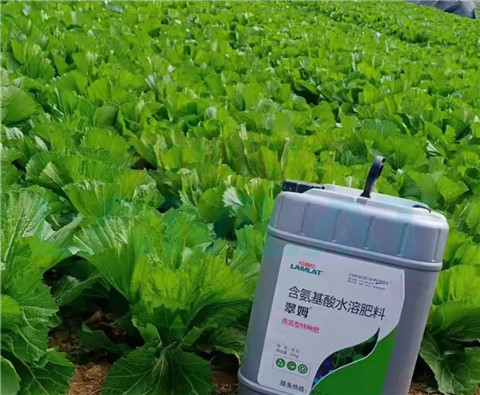 水溶肥，翠姆，拉姆拉