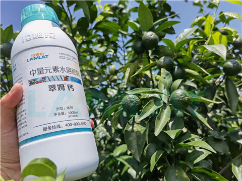 水溶肥，拉姆拉，翠姆