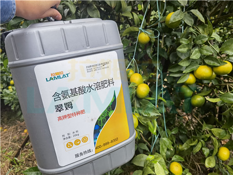 水溶肥，拉姆拉，翠姆