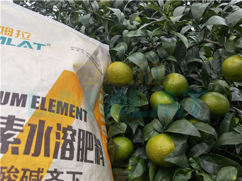 水溶肥，拉姆拉，翠姆