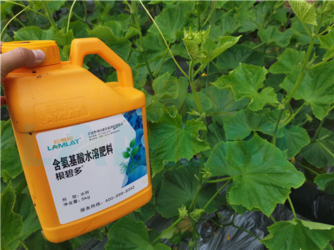 水溶肥，拉姆拉，翠姆