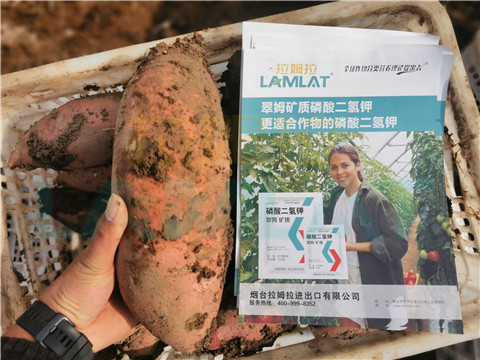 水溶肥，拉姆拉，翠姆