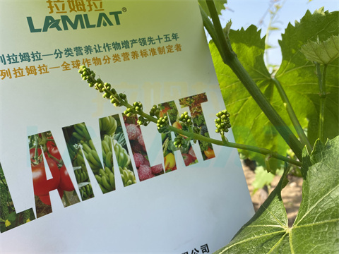 水溶肥，拉姆拉，翠姆