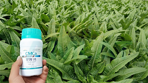 水溶肥，拉姆拉，翠姆