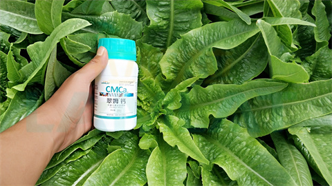 水溶肥，拉姆拉，翠姆