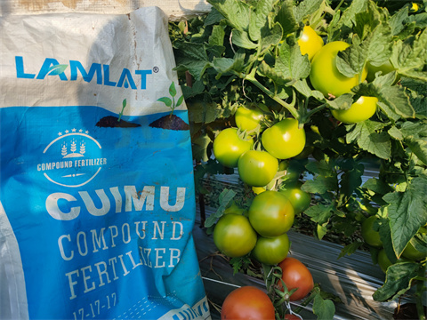 水溶肥，拉姆拉，翠姆