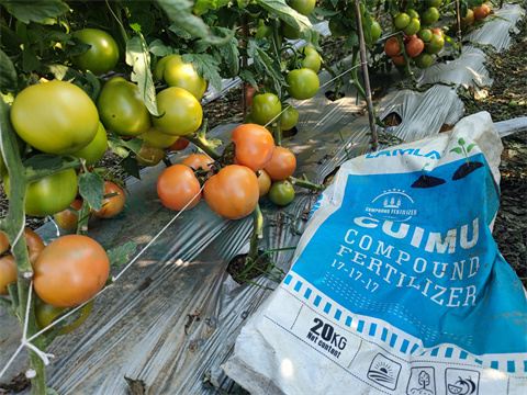 水溶肥，拉姆拉，翠姆