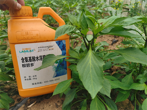 水溶肥，翠姆，拉姆拉