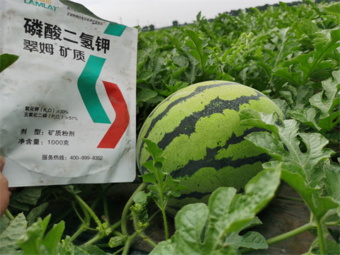 水溶肥，翠姆，拉姆拉