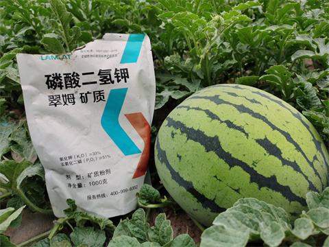 水溶肥，翠姆，拉姆拉