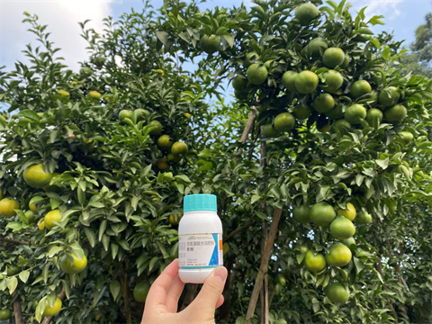 葉面肥品牌,翠姆,柑橘水溶肥 葉面肥品牌,翠姆,柑橘水溶肥