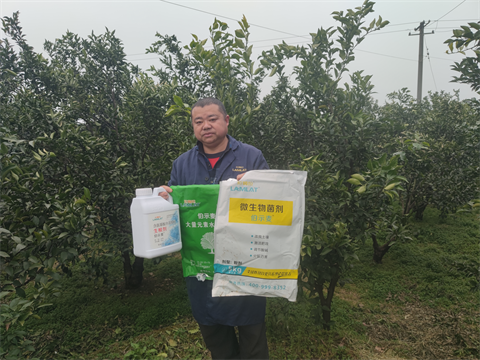 水溶肥,伯示麥,愛媛種植 水溶肥,伯示麥,愛媛種植