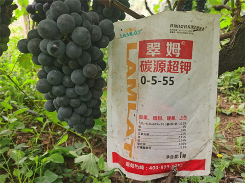 水溶肥,翠姆,夏黑葡萄種植 水溶肥,翠姆,夏黑葡萄種植