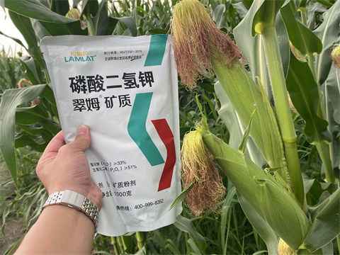 磷酸二氫鉀,翠姆,拉姆拉 磷酸二氫鉀,翠姆,拉姆拉