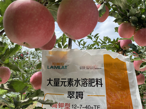 水溶肥廠家,翠姆,蘋果種植 水溶肥廠家,翠姆,蘋果種植