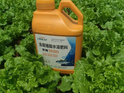 水溶肥廠家,翠姆,生菜種植 水溶肥廠家,翠姆,生菜種植