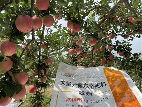 水溶肥價(jià)格,翠姆,蘋果種植 水溶肥價(jià)格,翠姆,蘋果種植