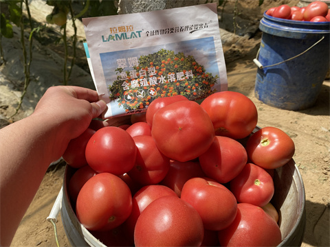 水溶肥,翠姆,蔬菜水溶肥 水溶肥,翠姆,蔬菜水溶肥