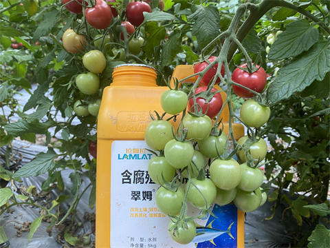 魚(yú)蛋白水溶肥,翠姆,拉姆拉 魚(yú)蛋白水溶肥,翠姆,拉姆拉